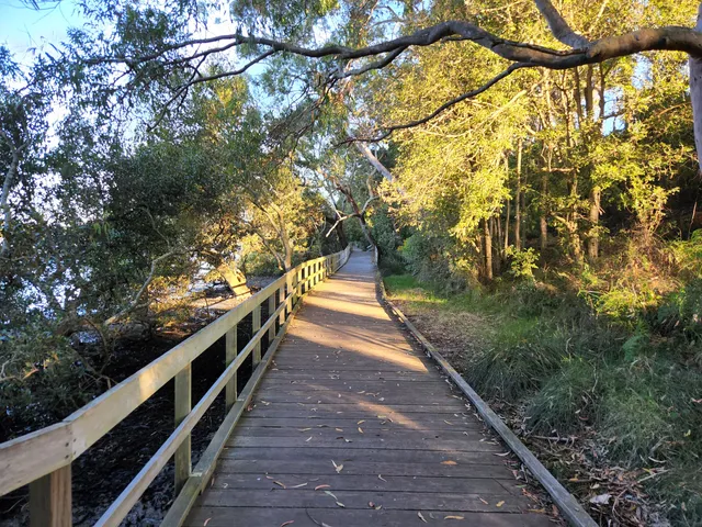 Koala Reserve (Mangrove Boardwalk)