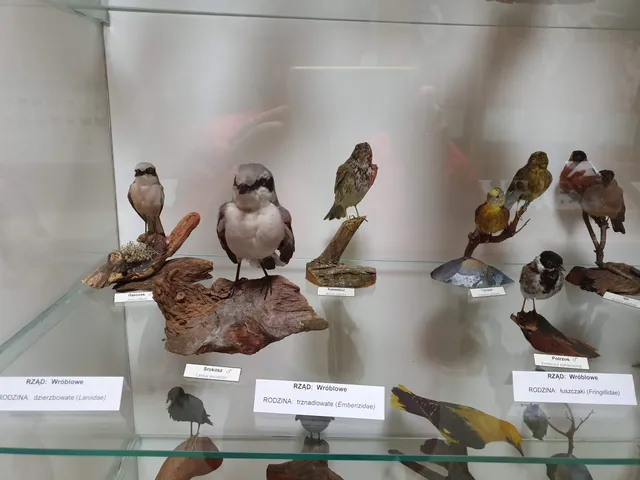 Muzeum Regionalne w Oleśnie