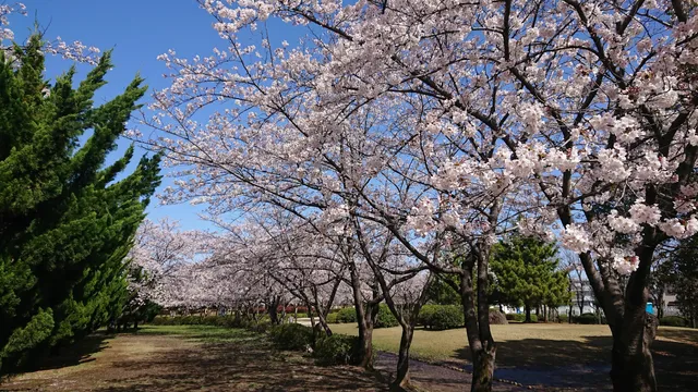 Ichinowari Park