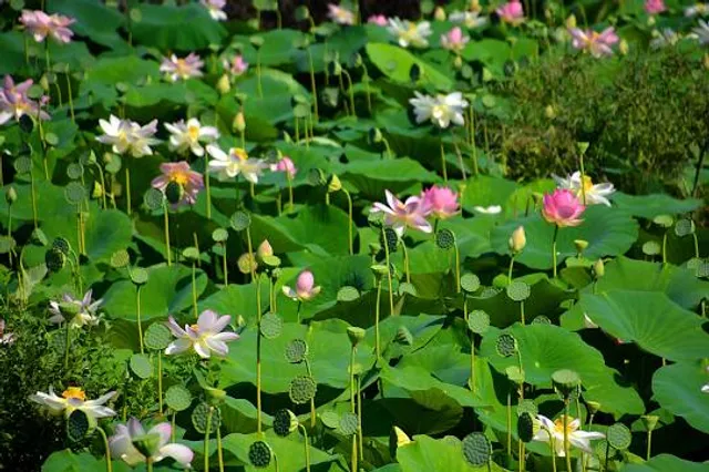 Parc de la Valmasque