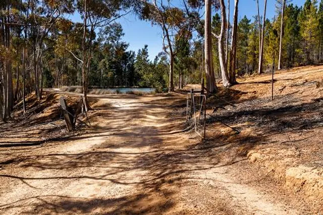 Protea Farm - Tractor Rides and Potjie Kos Lunch