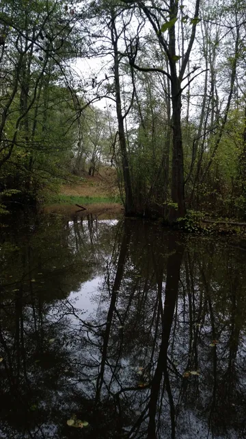Hårsbäcksdalens naturreservat