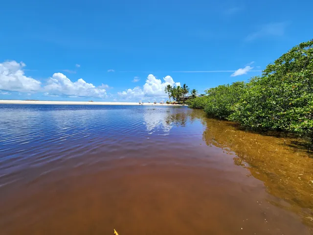 Encontro do Rio com o Mar - APA Cururupe