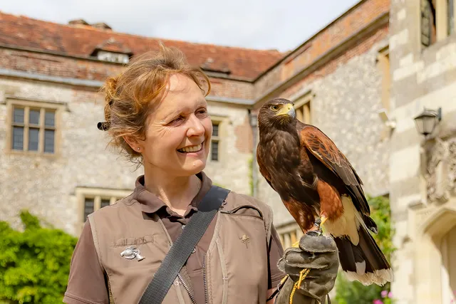 Hampshire Hawk Walks