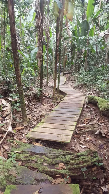 Reserva Natural Omagua