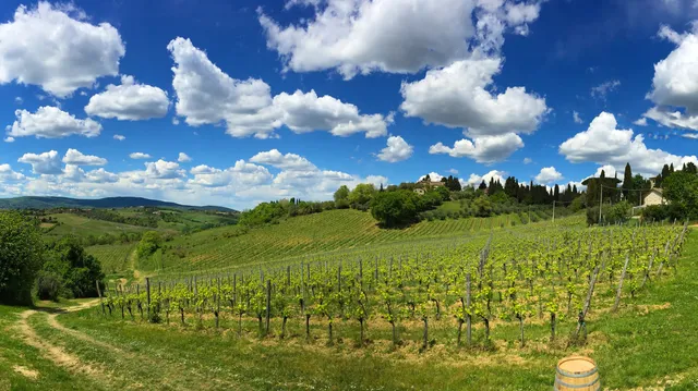 Azienda Agricola La Lastra
