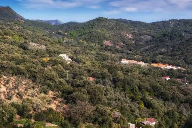 Sierra de Aracena and Picos de Aroche Natural Park