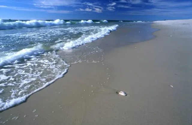 Smith Point County Park