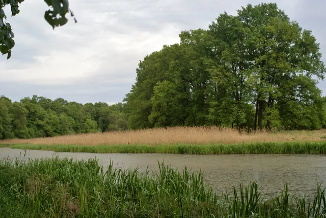 Rezerwat przyrody Odrzysko