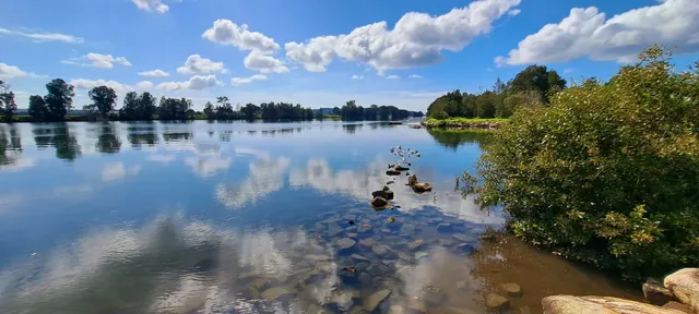 SAGE Farmers Market Moruya