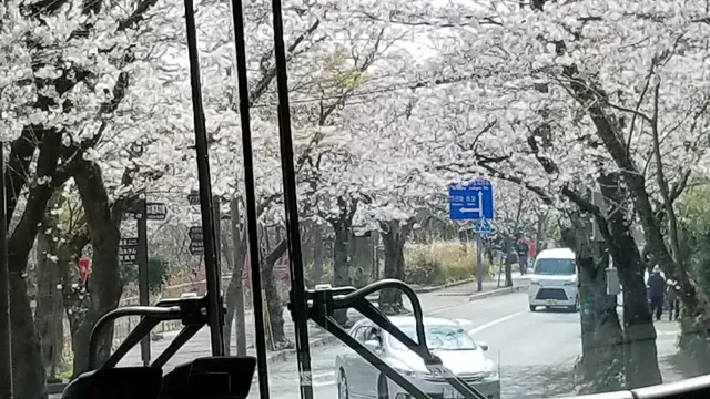 Kitagawa Masayuki Art Gallery of Child's Heart