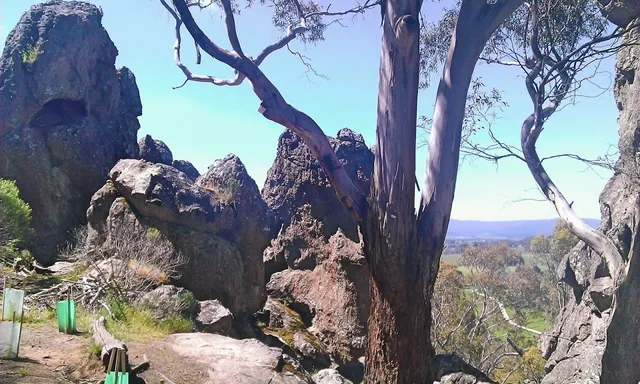 Hanging Rock Llama Treks