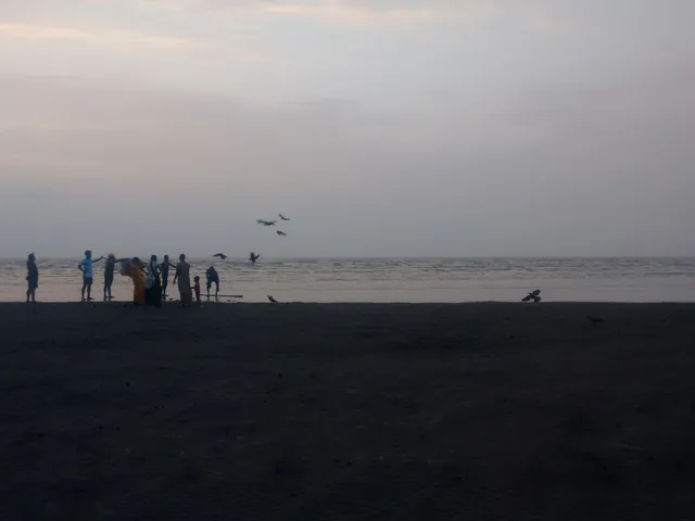 Tarapur Beach