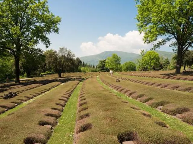 German War Cemetery
