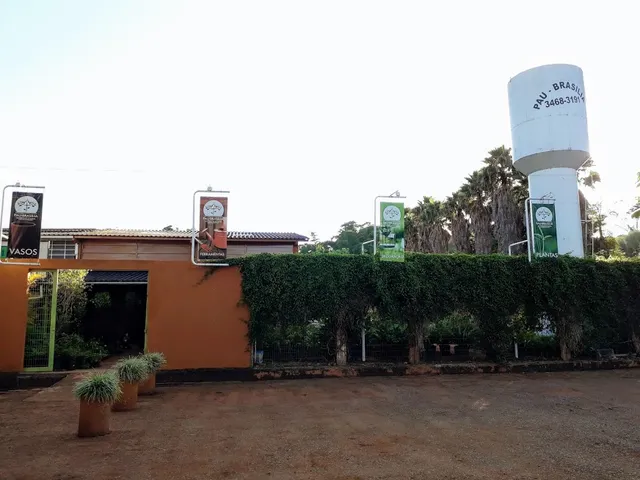 Pau Brasília Viveiro Eco Loja