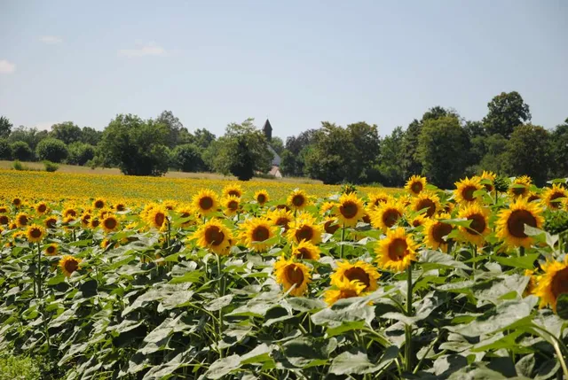 Abbaye Notre-Dame-de-Venière