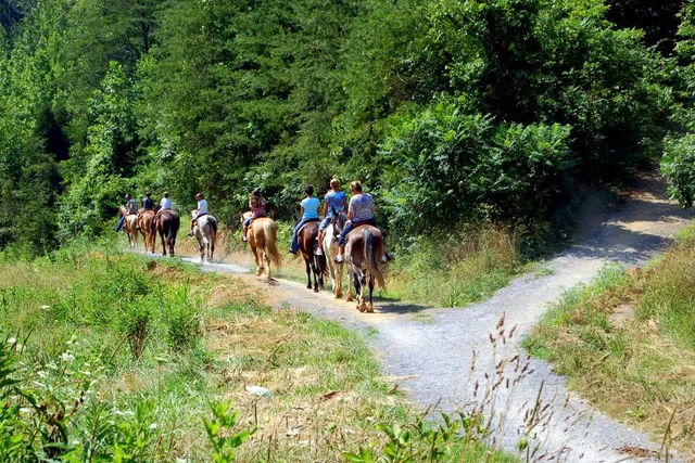 Smoky Mountain Deer Farm and Exotic Petting Zoo