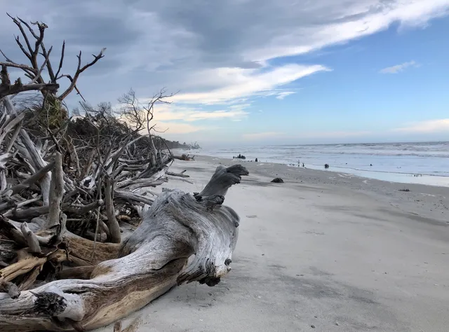 Little Talbot Island State Park