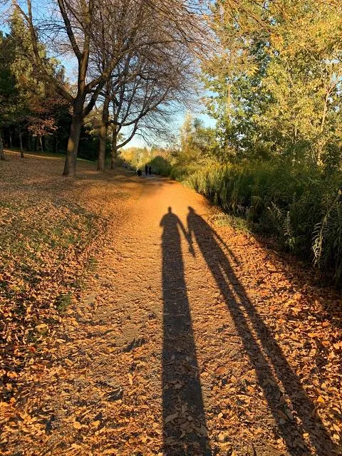 St. Charles River Linear Park