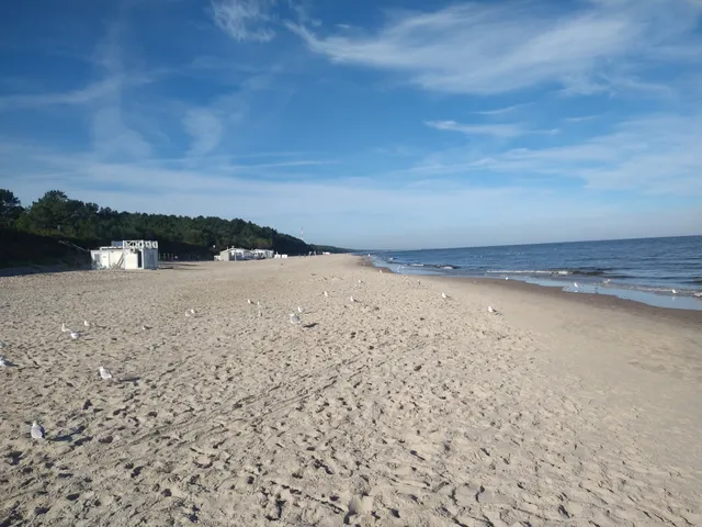 Kamera internetowa Krynica Morska - Webcamera.pl