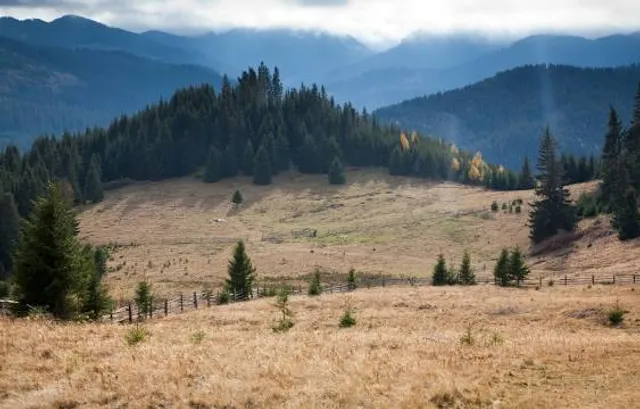 Calimani National Park