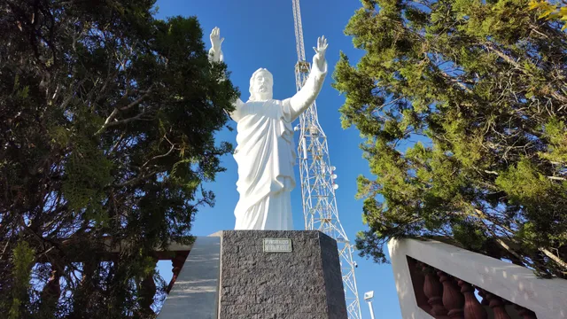 Parque das Palmeiras