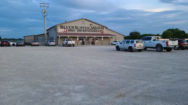 Brown Bag Adult Video