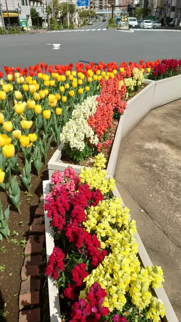 駒形橋前フラワーコーナー