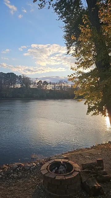 Morels on the Wabash