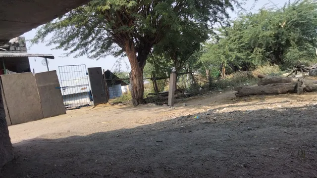 Thamizh Iyer Canteen