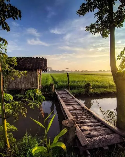 Bivalyrezervátum I.