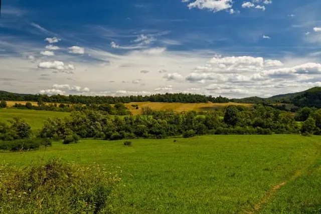 Krywe Rezerwat Przyrody