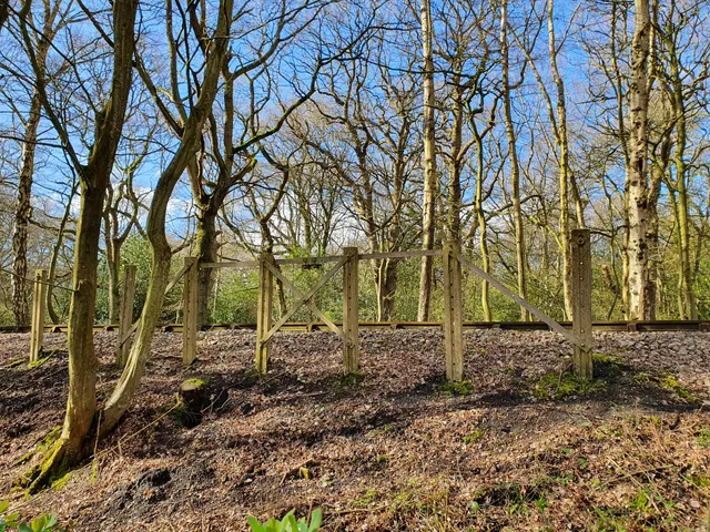 Gernon Bushes