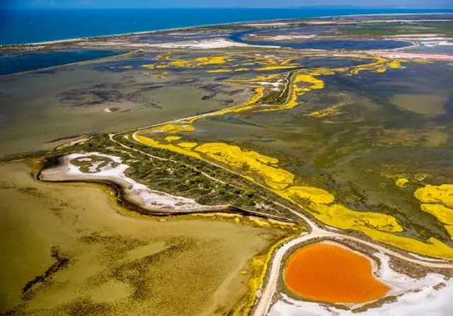 Naturschutzgebiet "De Slufter"