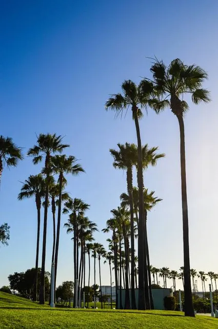 Kotsubo Seaside Park