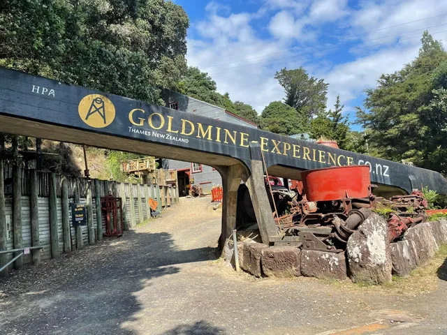 Thames Goldmine Experience