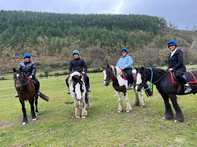 Rheidol Riding Centre