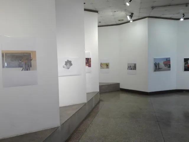 Henry Tayali Gallery