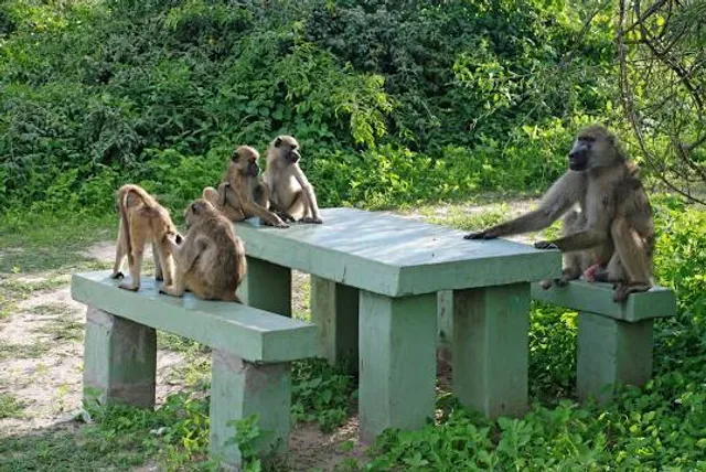 Wigan Flashes Local Nature Reserve
