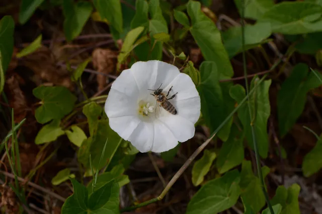 photo-1