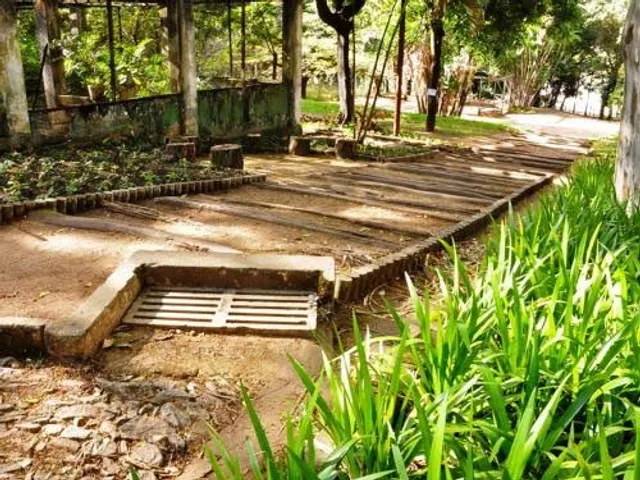 Parque Guilherme Lage