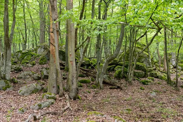 Eriksbergs Wildlife Park