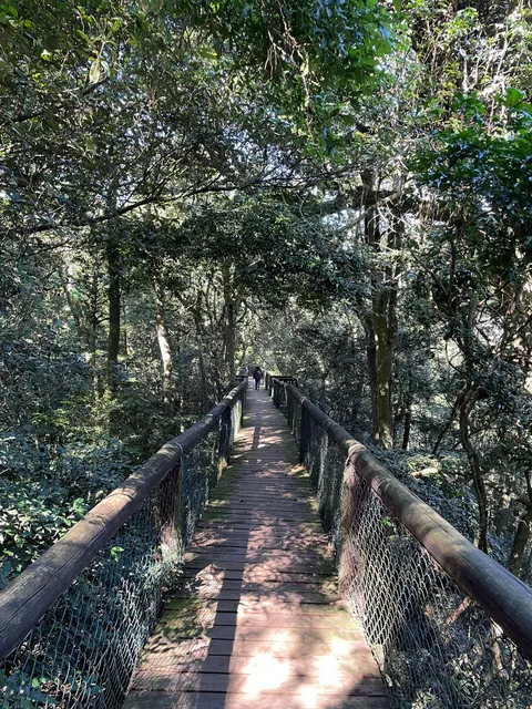 Dlinza Forest Nature Reserve