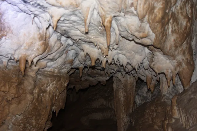 Peştera Bătrânului