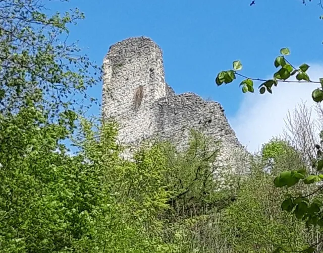 Ruins of the Vorbourg