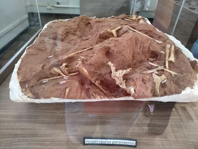 Museu de Paleontologia de Cruzeiro do Oeste Alexandre Gustavo Dobruski