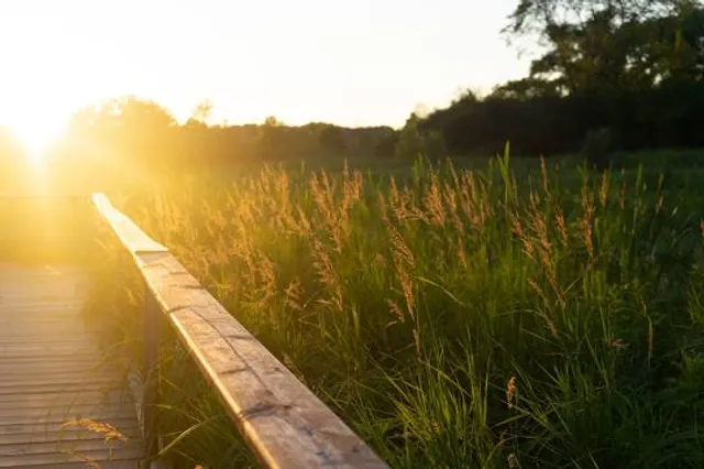 Kishwauketoe Nature Conservancy