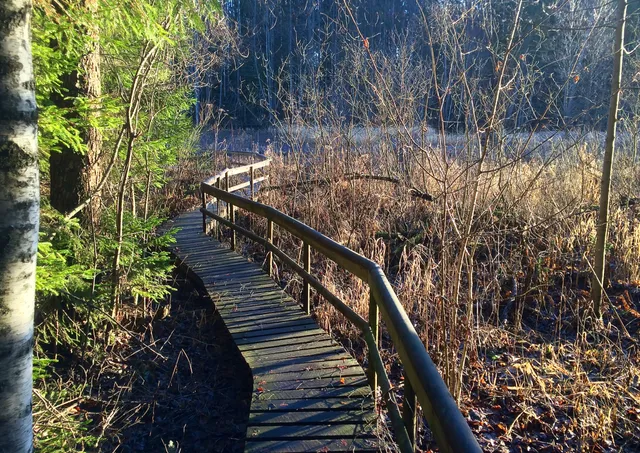 Rae järve matkarada