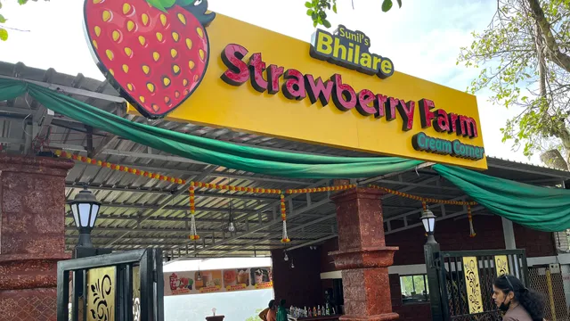 Sunil’s Bhilare Strawberry picking Farm