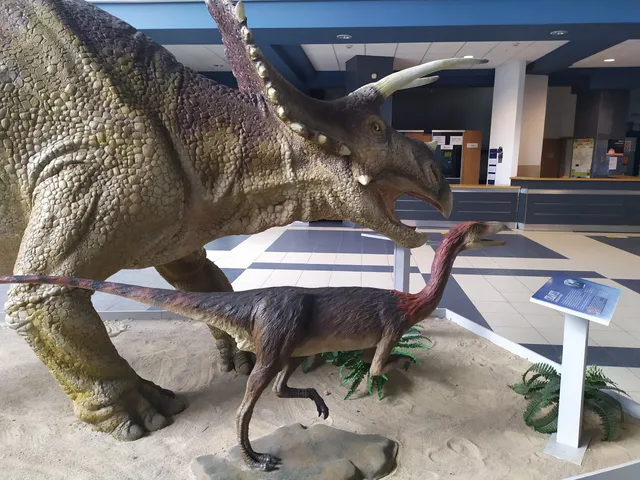 Museum of Earth Sciences of the University of Silesia